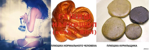 ECSTASY Покачи